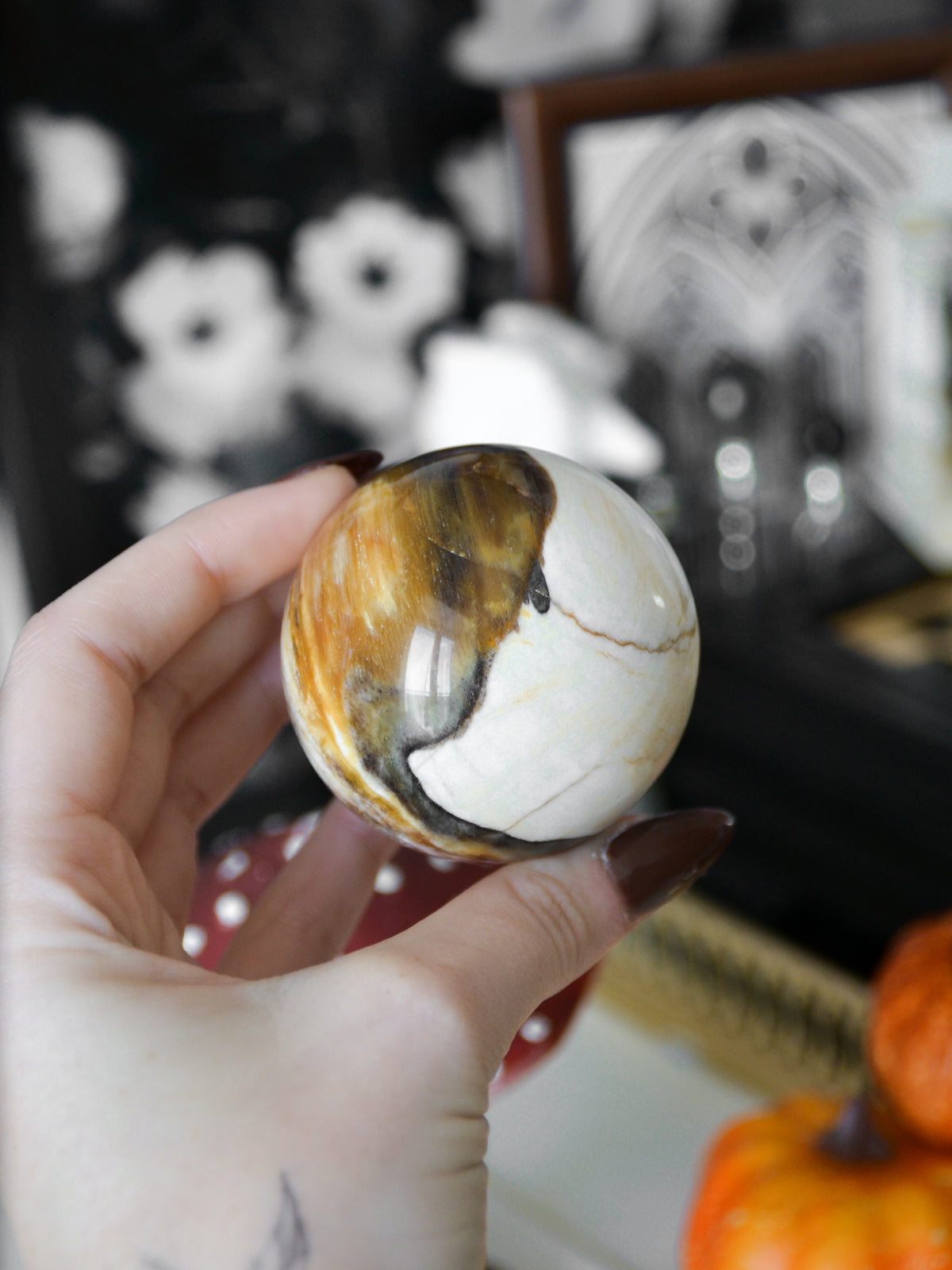 Sfera in legno fossile