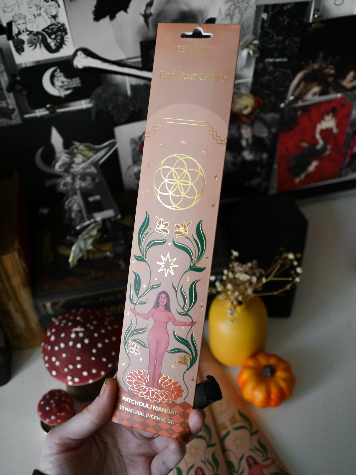 Incenso stick Find Your Centre