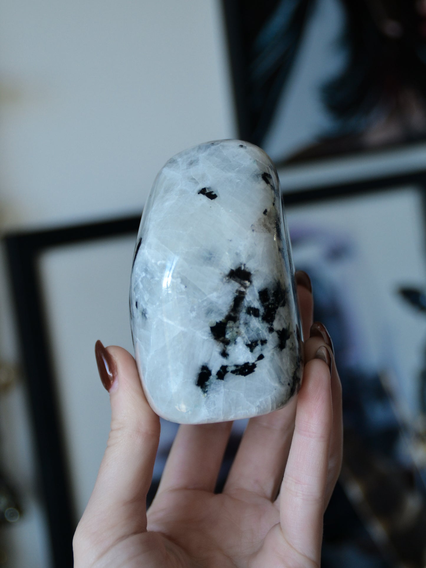 Freeform in labradorite bianca