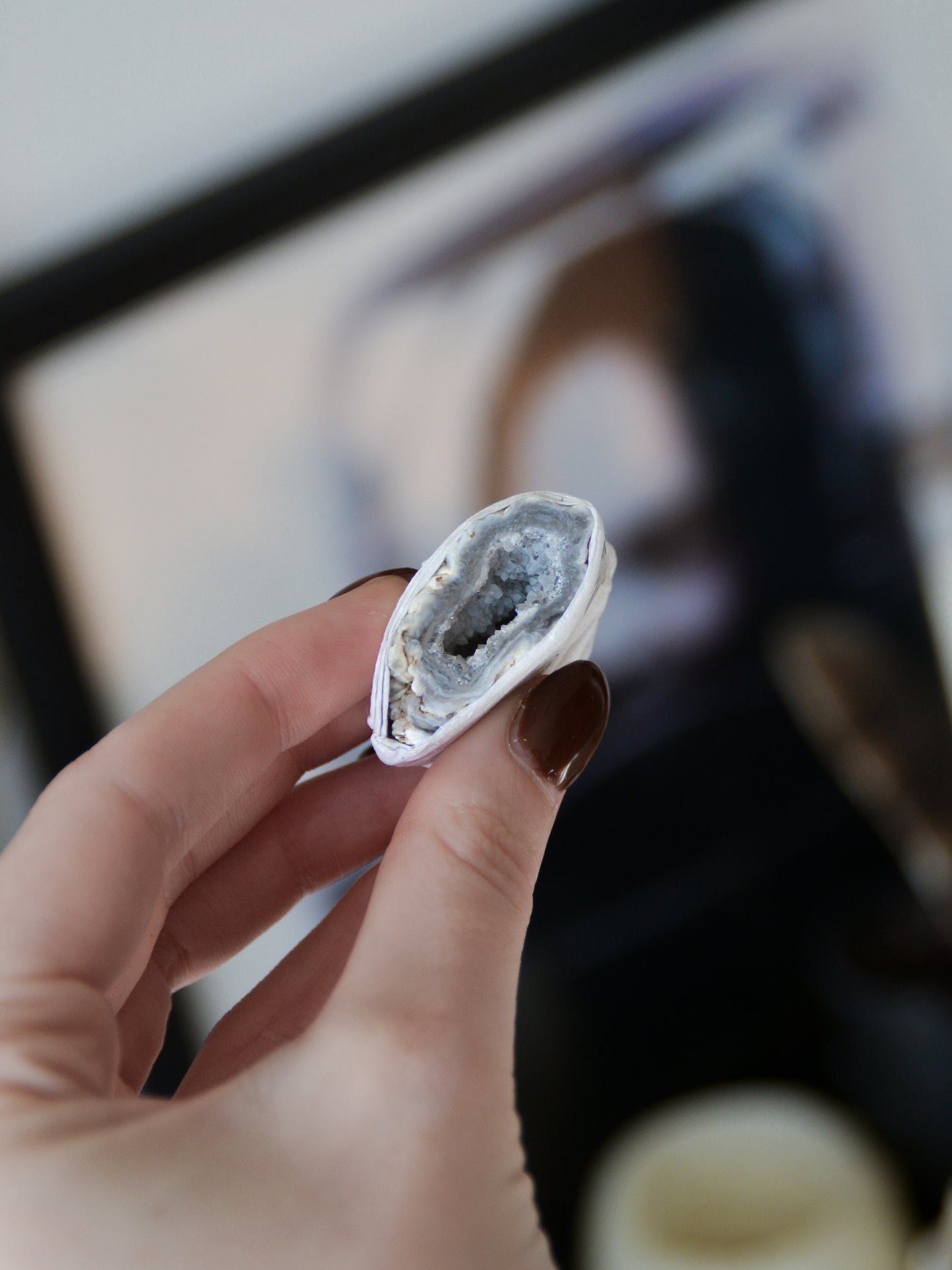 Geodino di agata (Brasile)