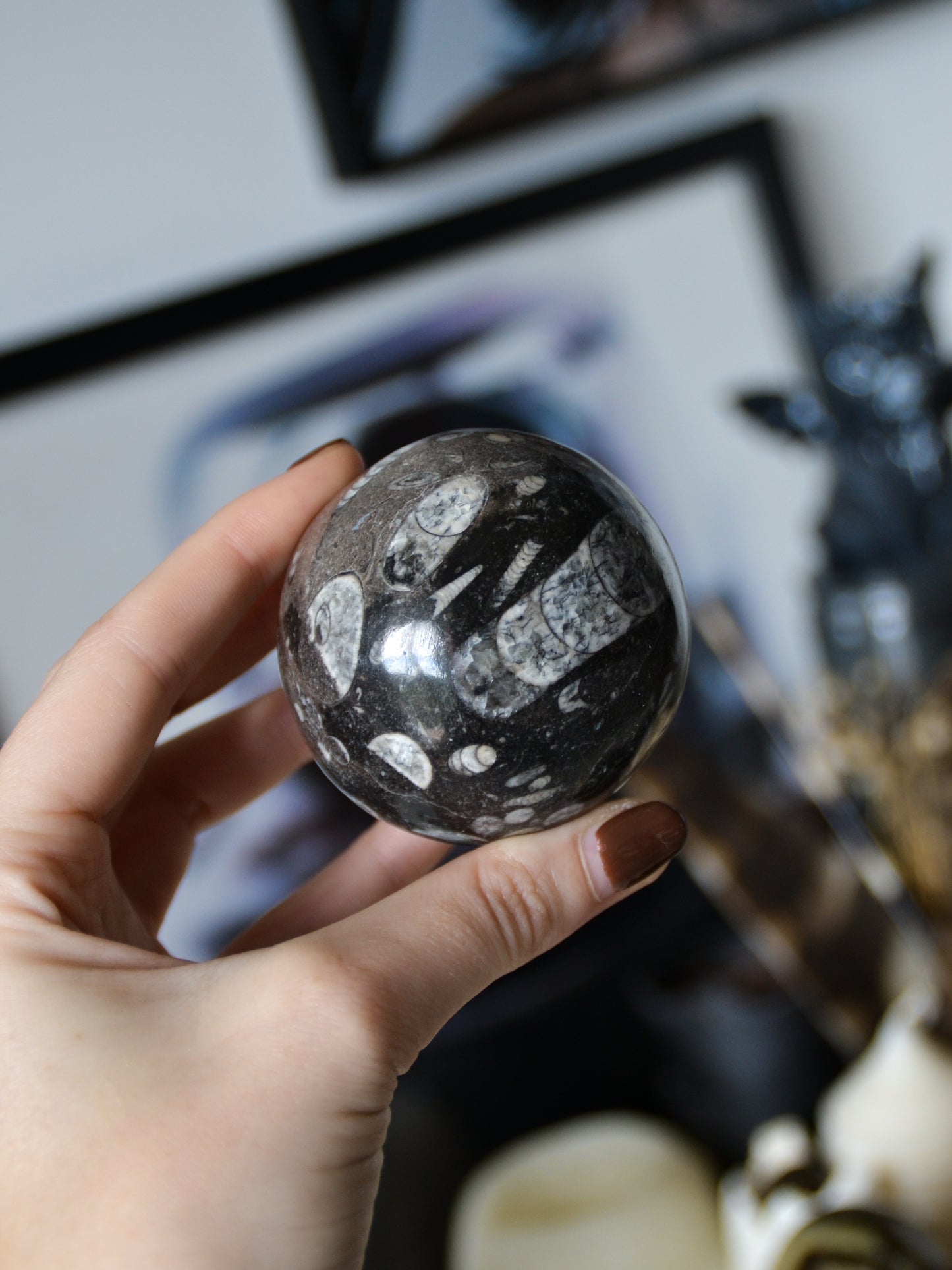 Sfera in orthoceras
