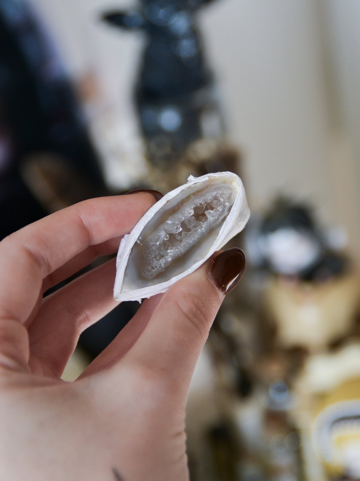 Geodino di agata (Brasile)