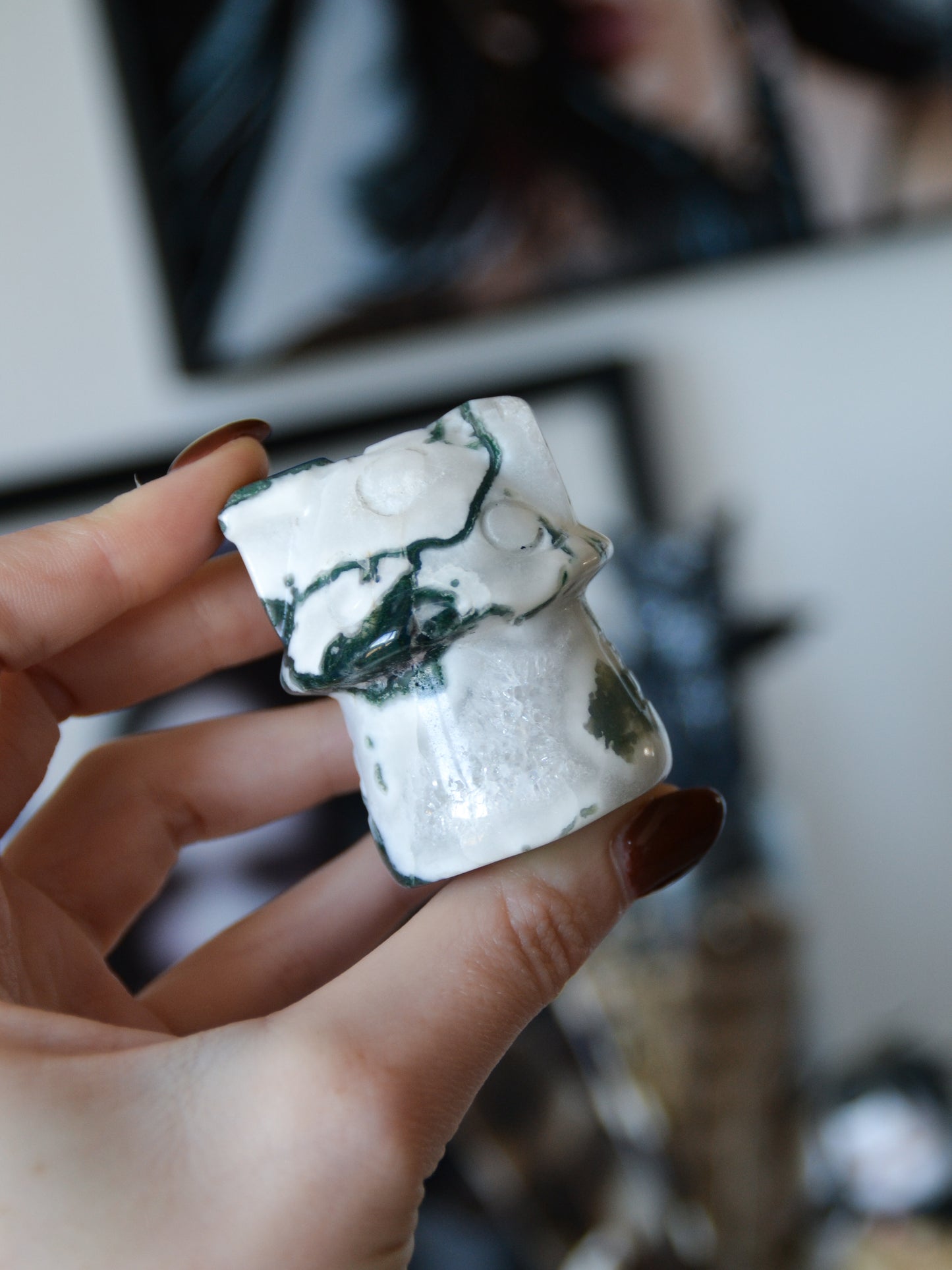 Casa fungo in agata albero