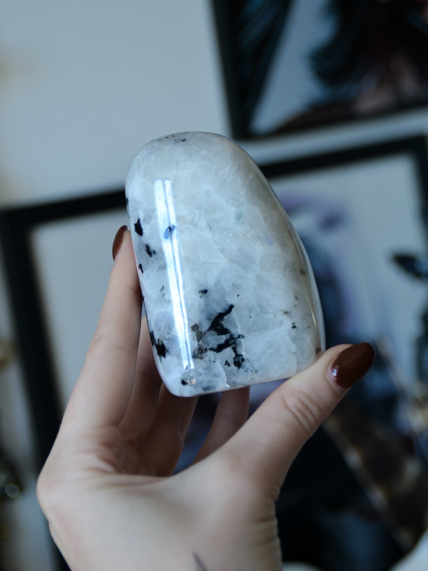 Freeform in labradorite bianca