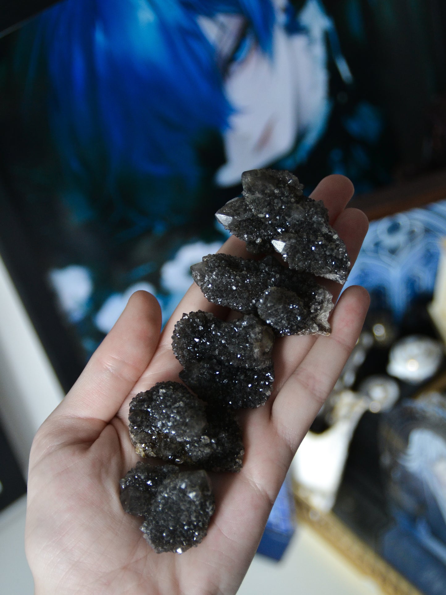 Spirit quartz nero (o quarzo cactus)