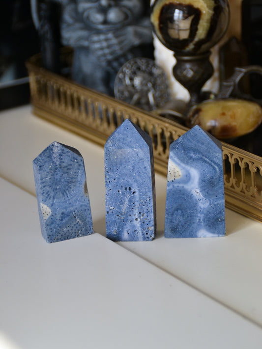 Torre in corallo blu