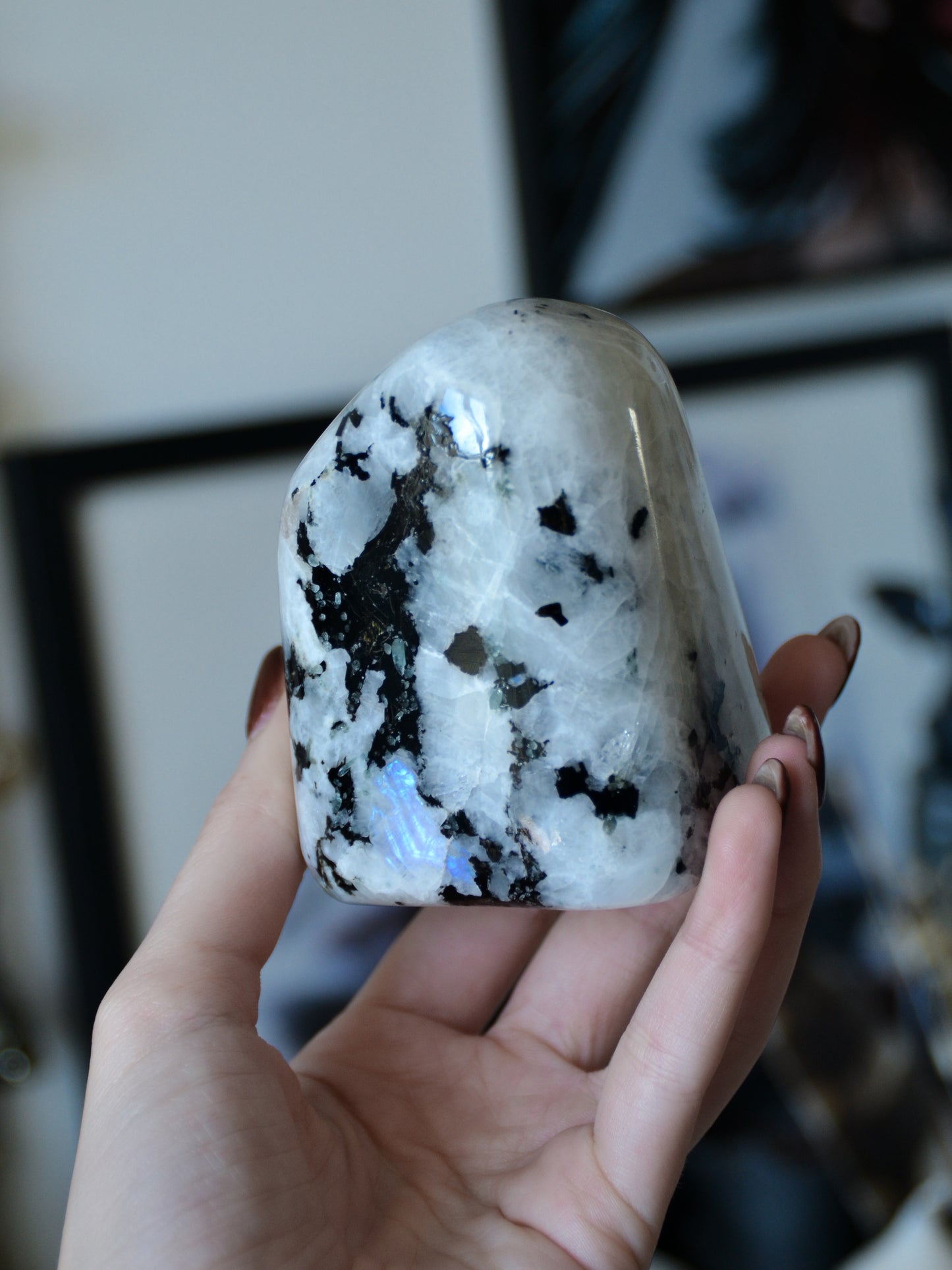 Freeform in labradorite bianca