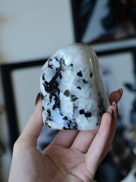 Freeform in labradorite bianca