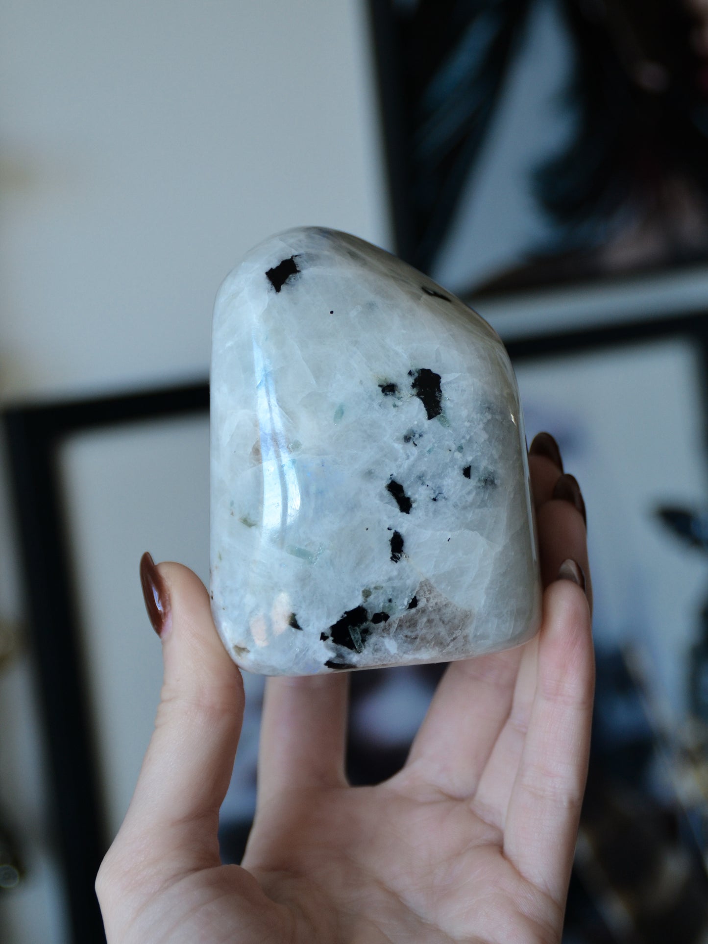 Freeform in labradorite bianca