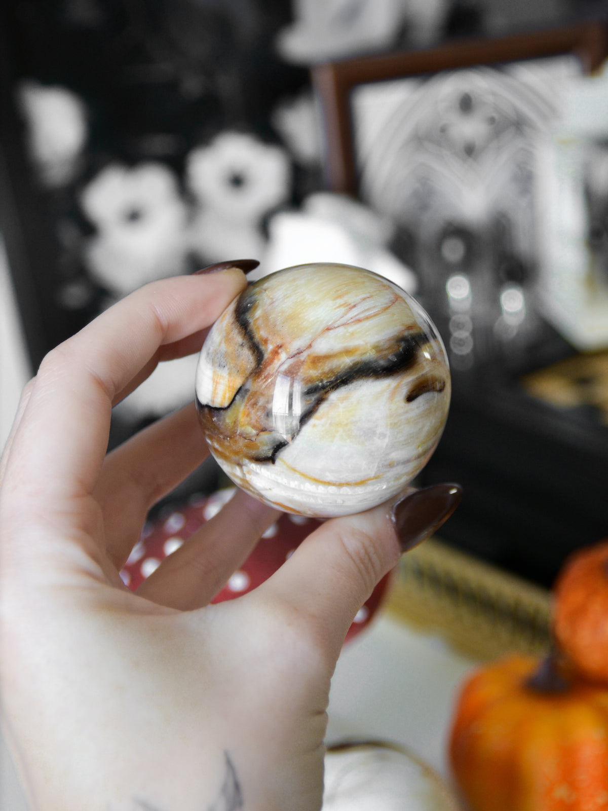 Sfera in legno fossile