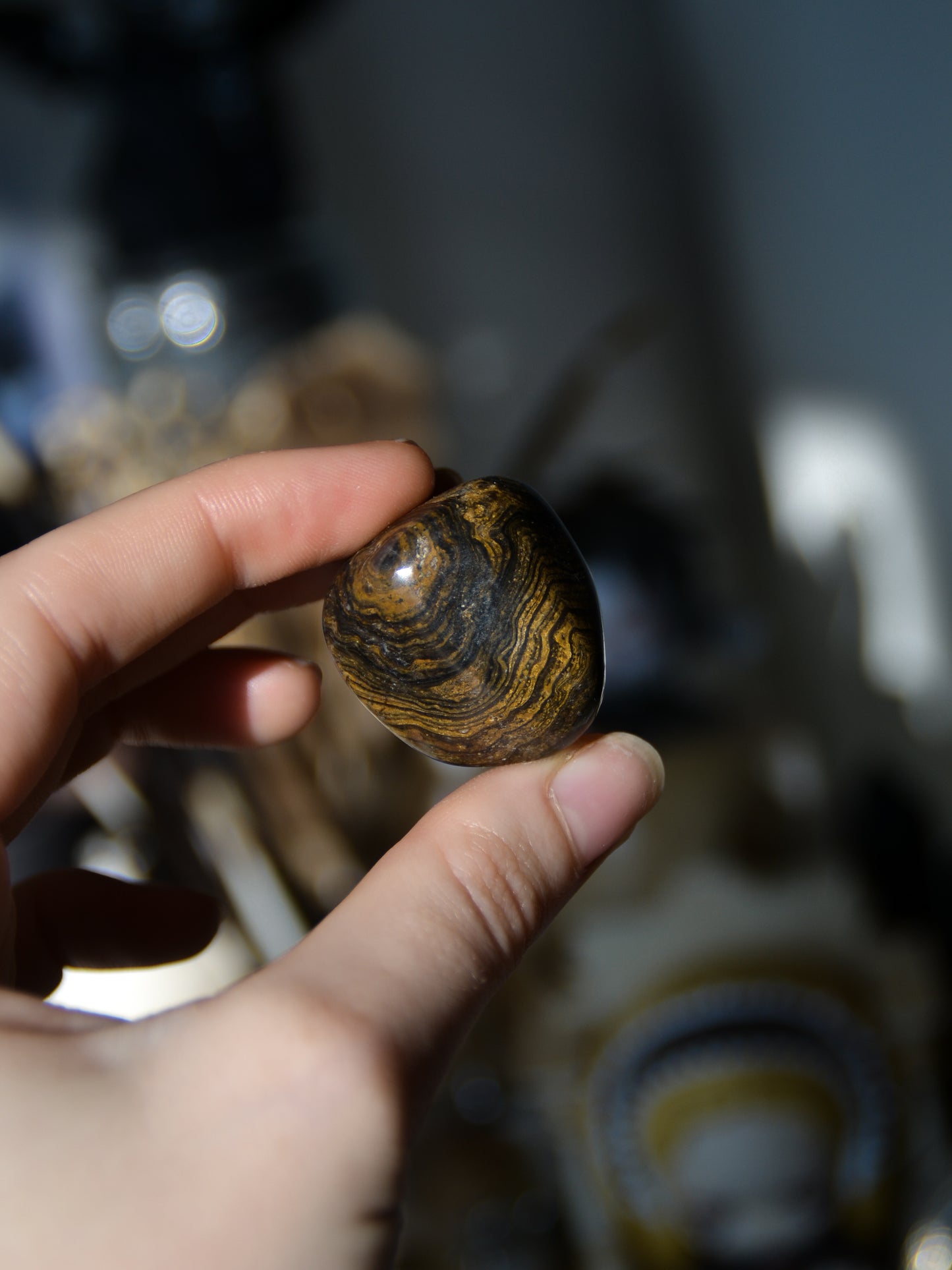 Stromatolite burattata
