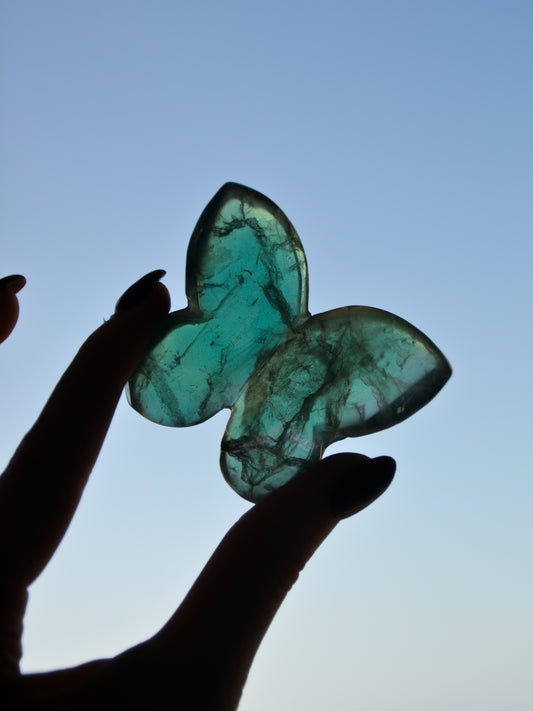 Farfalla 3D in fluorite