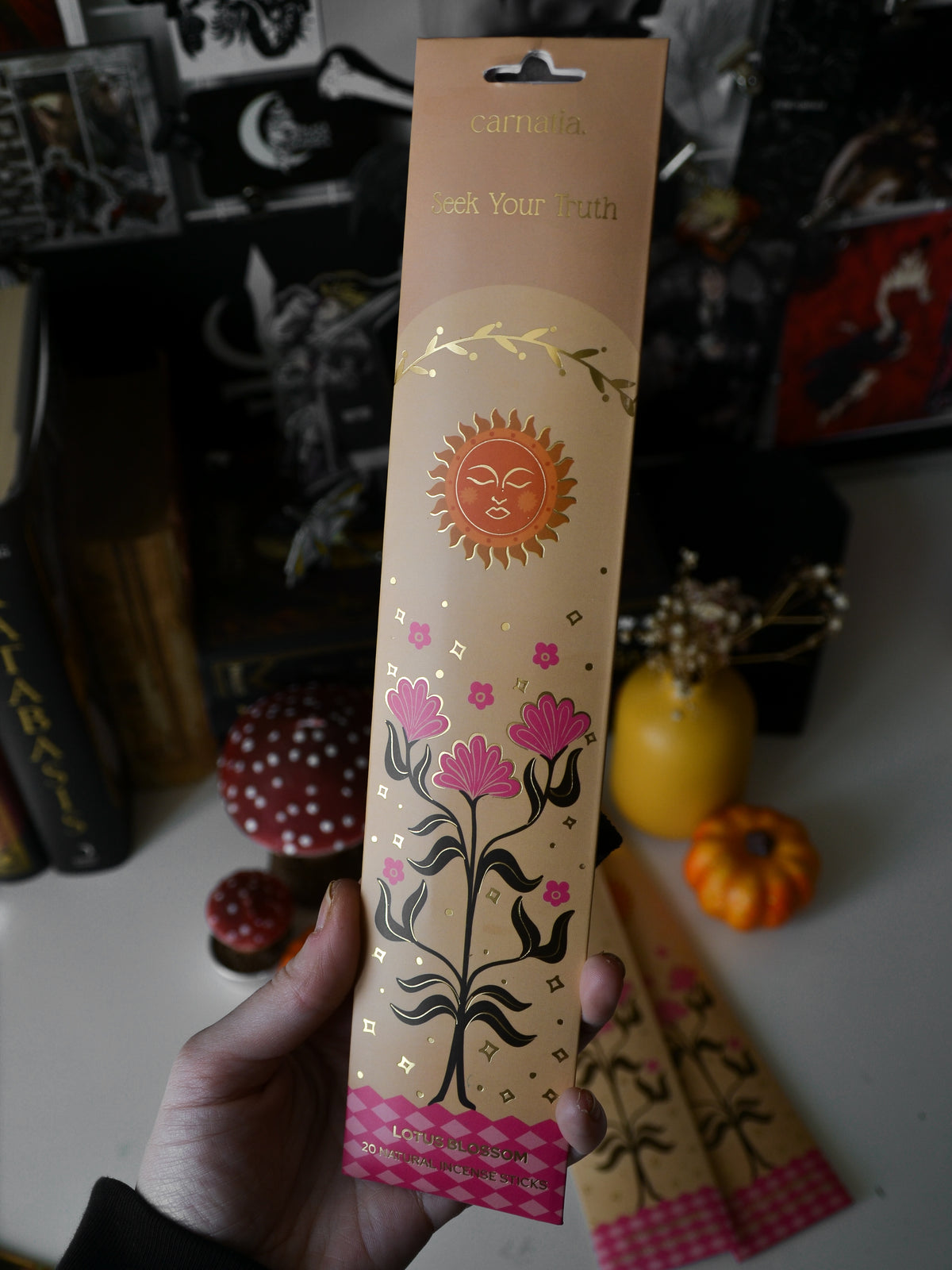 Incenso stick Seek Your Truth