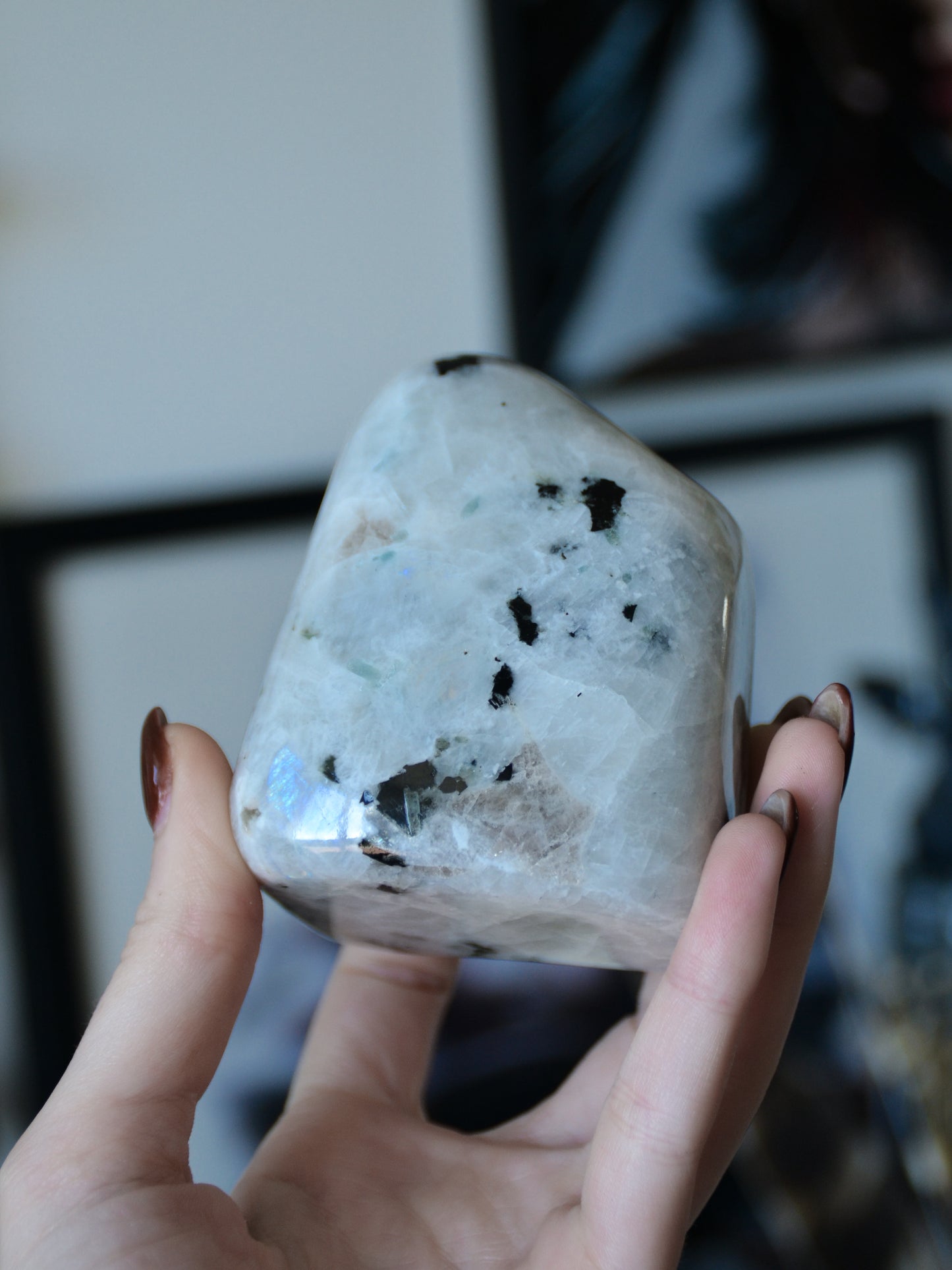 Freeform in labradorite bianca