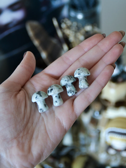 Funghetto in diaspro kiwi