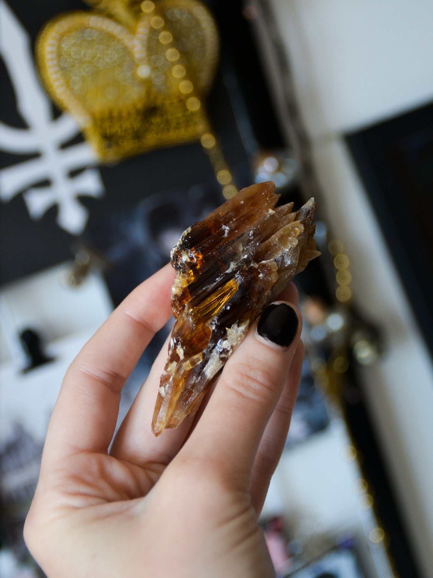Specimen di calcite miele