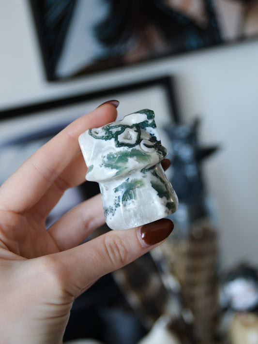 Casa fungo in agata albero