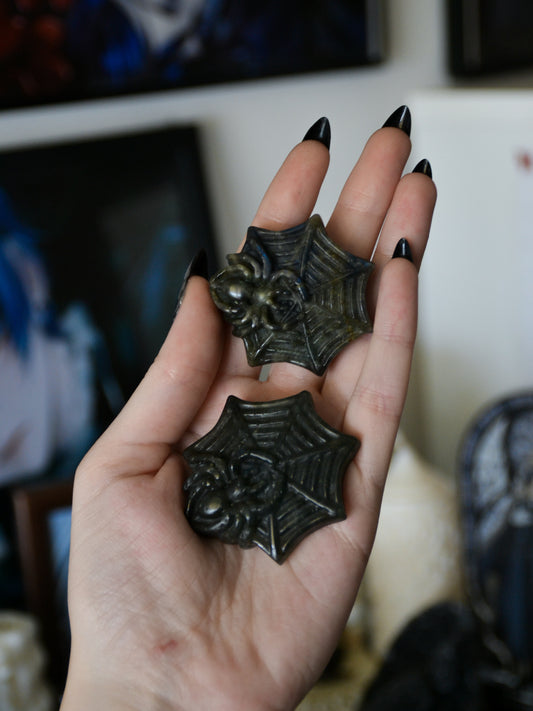 Ragno con ragnatela in labradorite