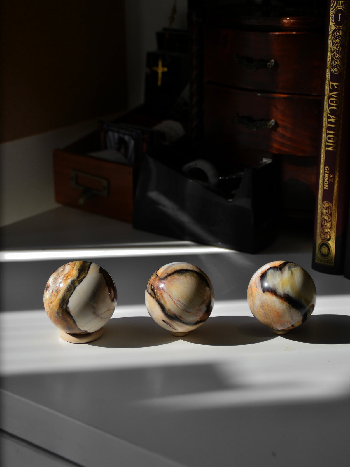 Sfera in legno fossile