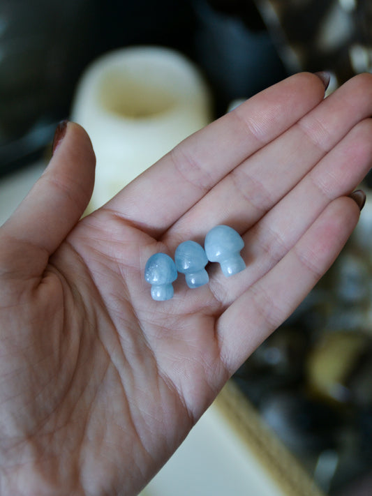 Funghetto in acquamarina qualità extra