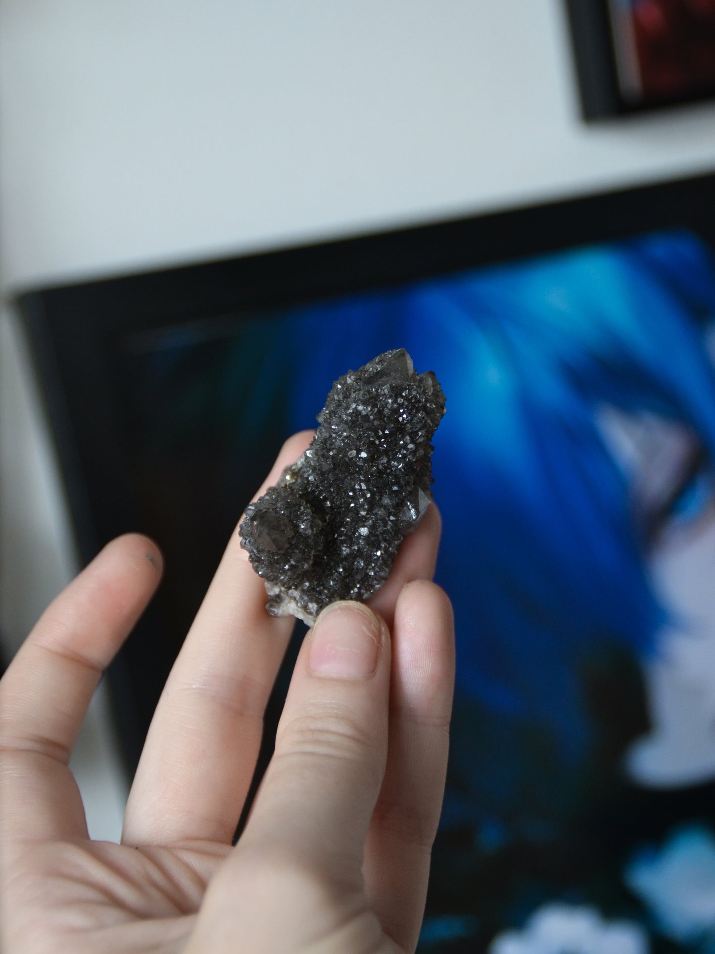 Spirit quartz nero (o quarzo cactus)
