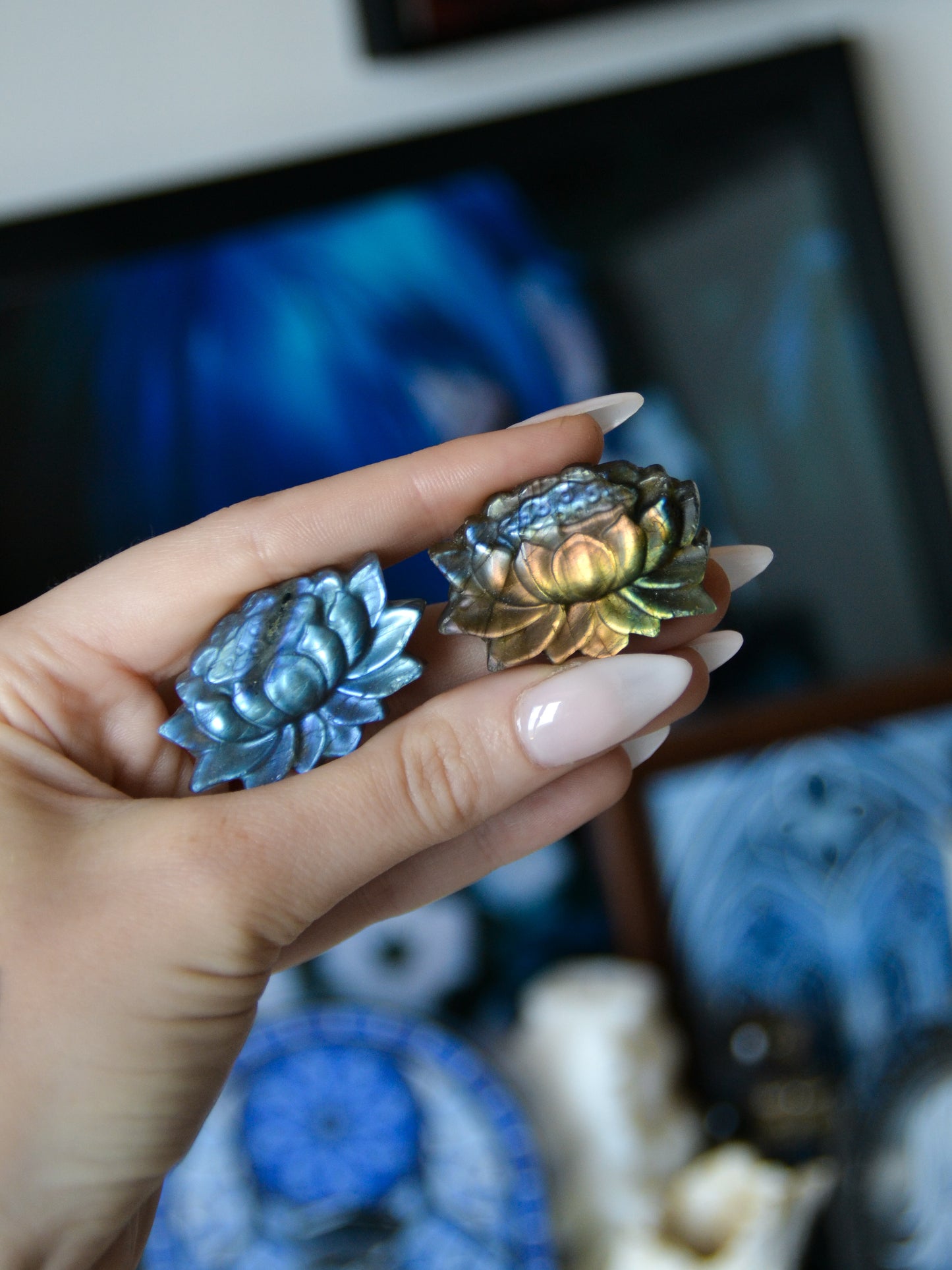 Fiore di loto in labradorite (fiore di Ren)