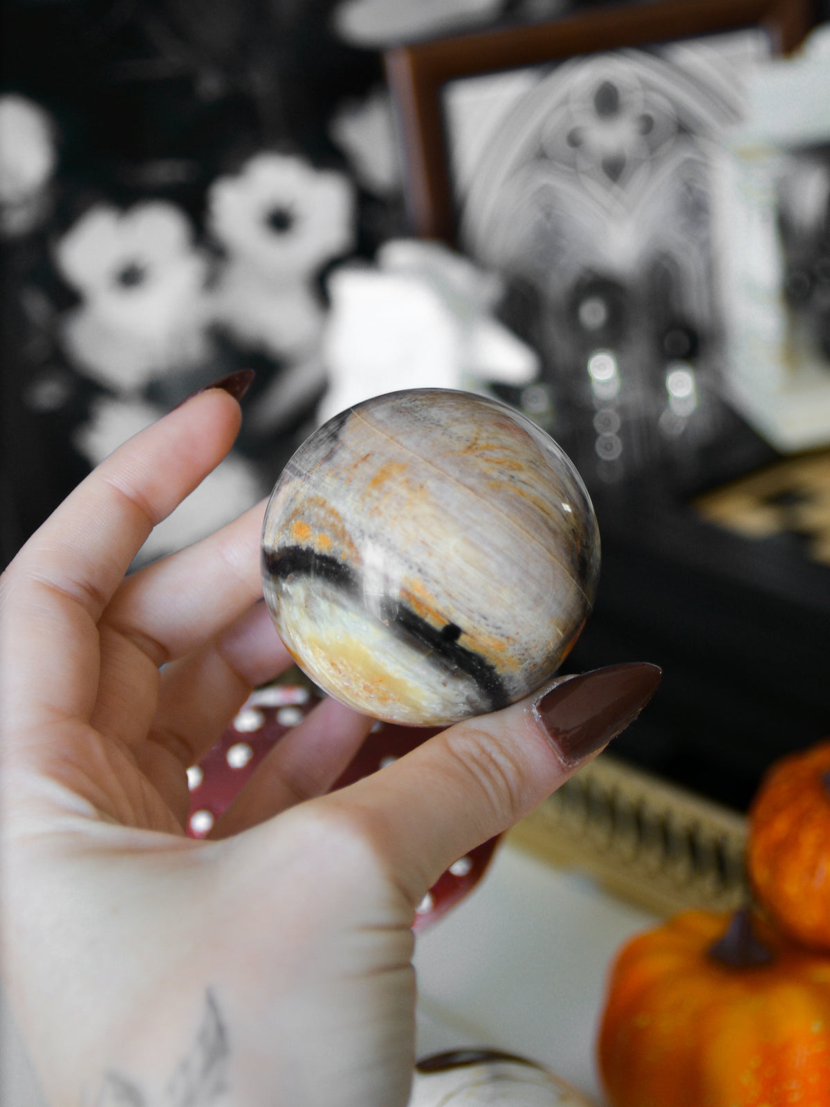 Sfera in legno fossile