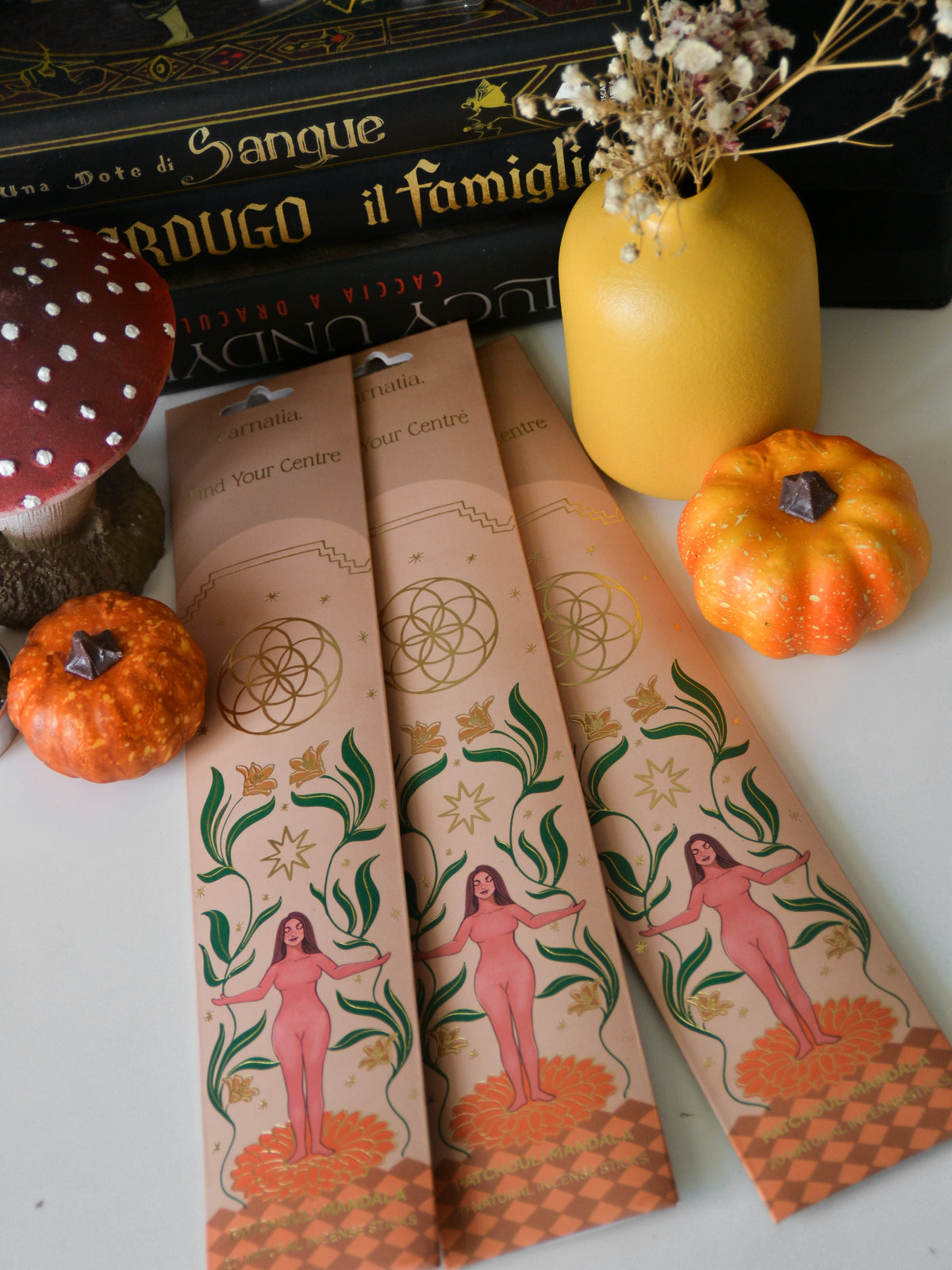 Incenso stick Find Your Centre