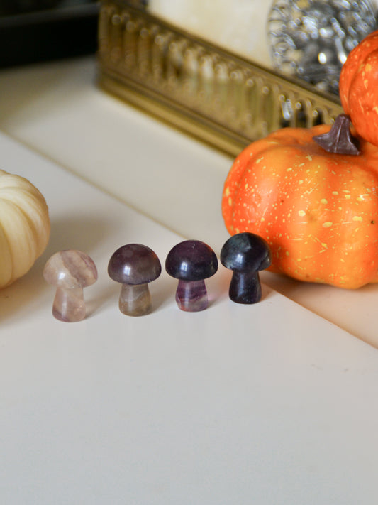 Funghetto in fluorite candy